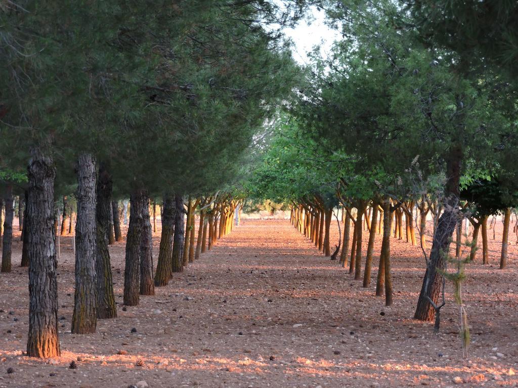 Casa Rural Santa Ana Pensionat Miguel Esteban Eksteriør billede